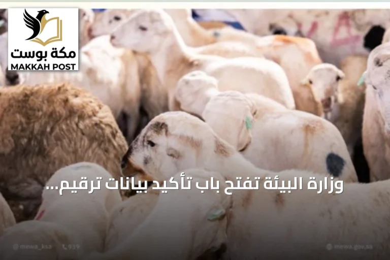وزارة البيئة تفتح باب تأكيد بيانات ترقيم المواشي
