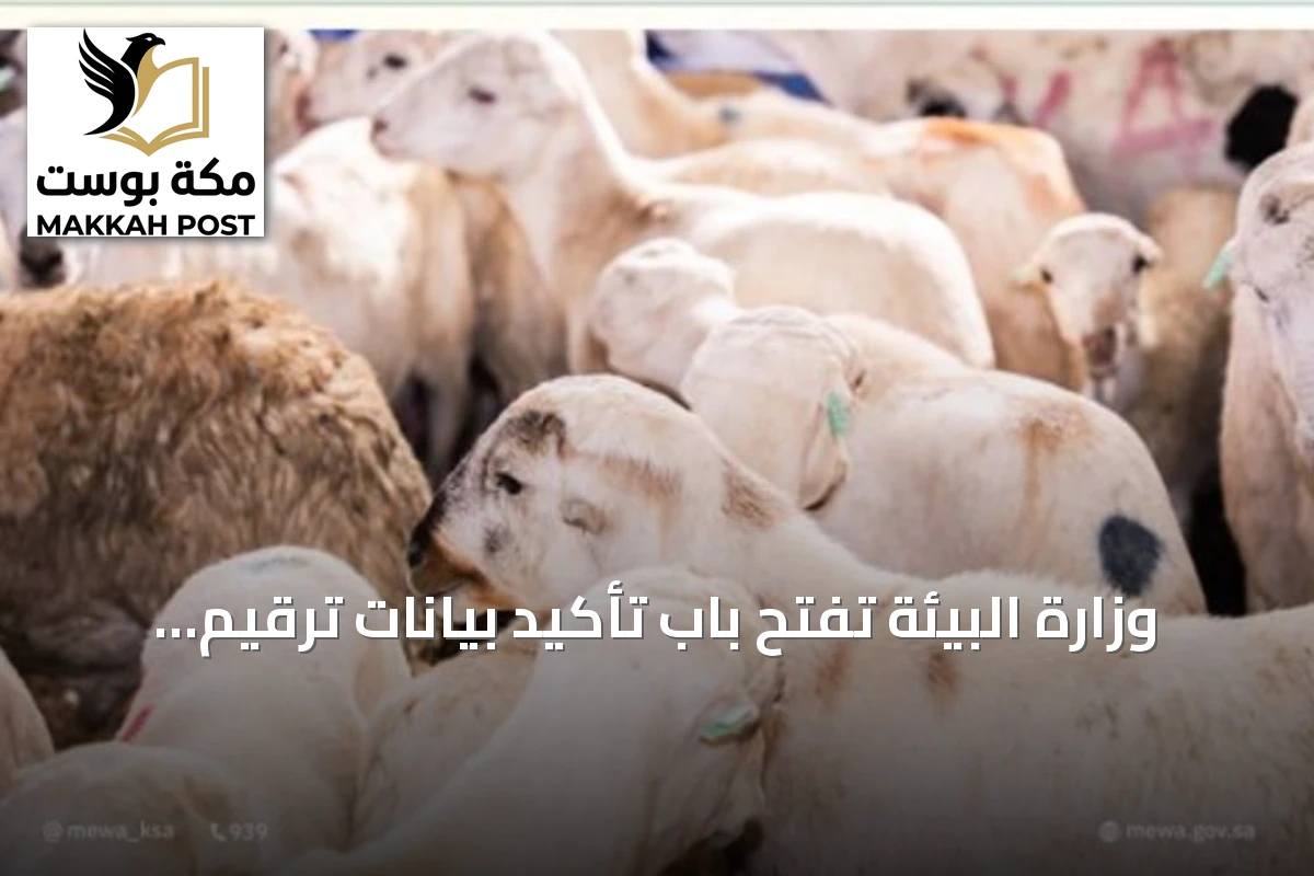 وزارة البيئة تفتح باب تأكيد بيانات ترقيم المواشي