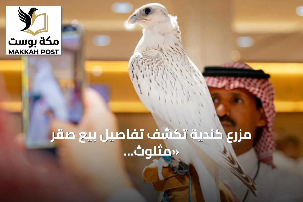 مزرع كندية تكشف تفاصيل بيع صقر «مثلوث الجير سوبر وايت» بـ1.3 مليون ريال
