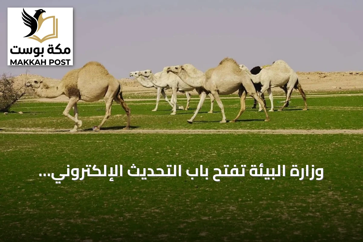 وزارة البيئة تفتح باب التحديث الإلكتروني لسجلات الثروة الحيوانية عبر منصة «نما»