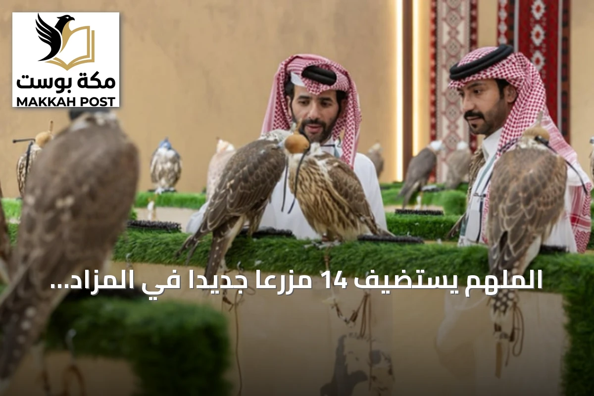الملهم يستضيف 14 مزرعاً جديداً في المزاد الدولي للصقور
