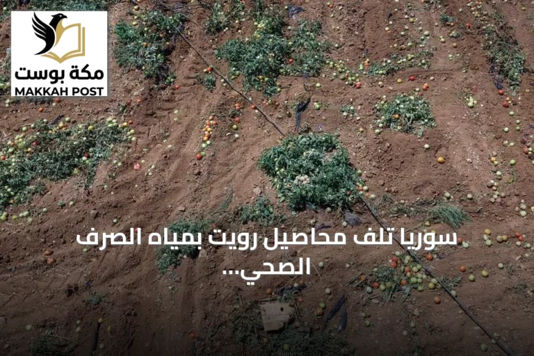 سوريا تلَف محاصيل رويت بمياه الصرف الصحي وتصادر المضخات في درعا