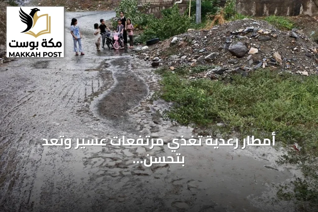 أمطار رعدية تغذي مرتفعات عسير وتعد بتحسن الأجواء