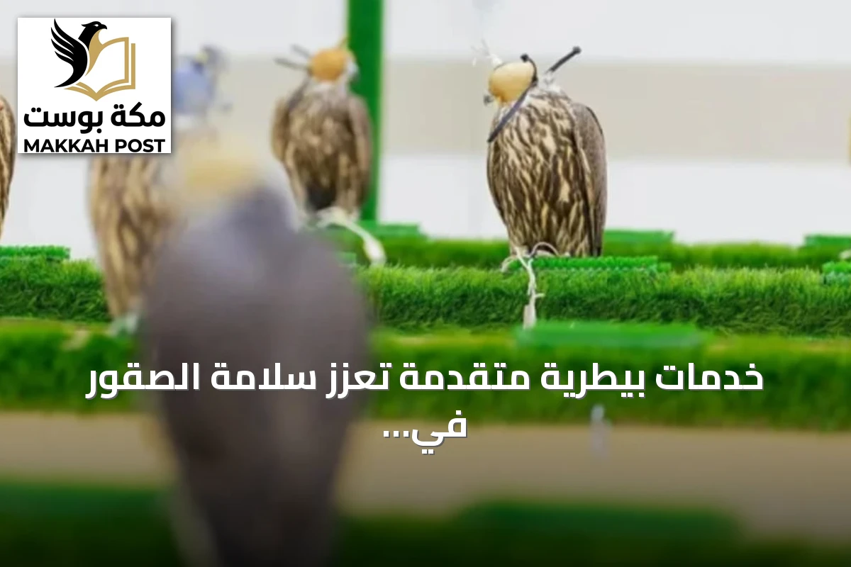 خدمات بيطرية متقدمة تعزز سلامة الصقور في المزاد الدولي 2026