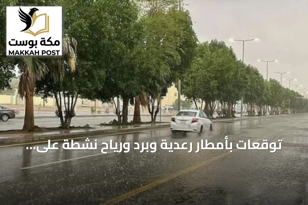 توقعات بأمطار رعدية وبرد ورياح نشطة على جنوب المملكة