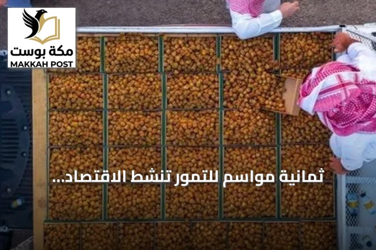 ثمانية مواسم للتمور تنشط الاقتصاد والسياحة في القصيم بدعم أمير المنطقة