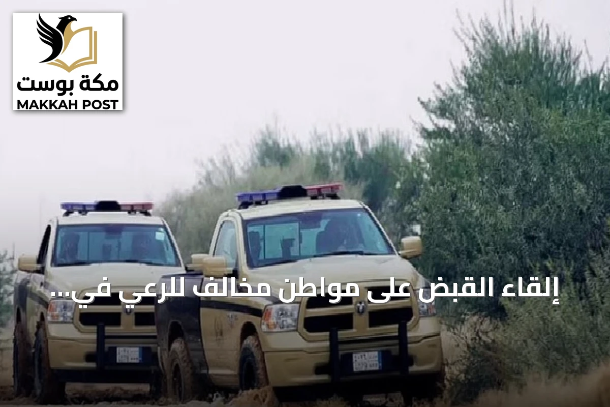 إلقاء القبض على مواطن مخالف للرعي في محمية الإمام تركي وتطبيق عقوبة مالية