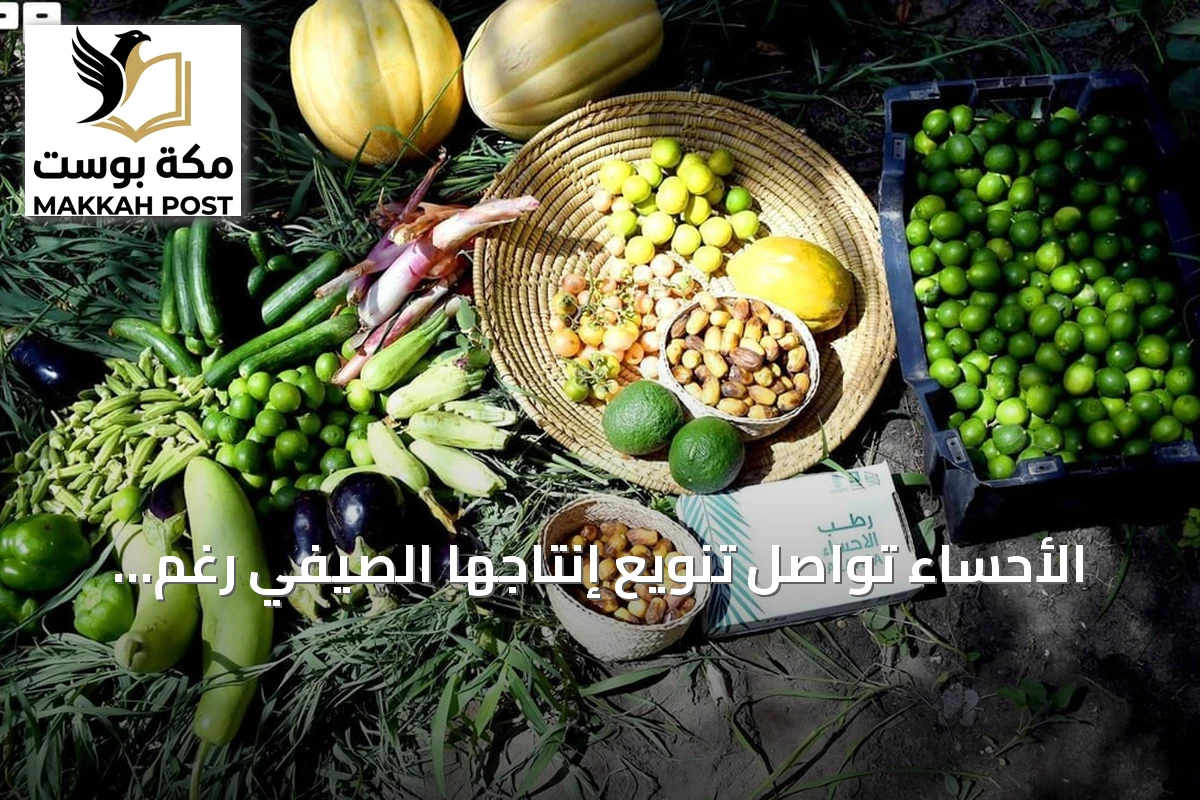 الأحساء تواصل تنويع إنتاجها الصيفي رغم ارتفاع درجات الحرارة
