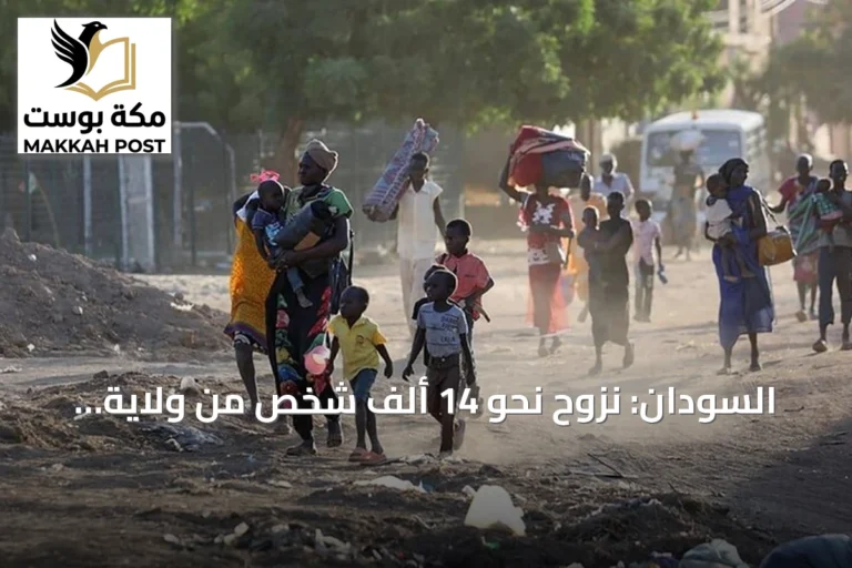 السودان: نزوح نحو 14 ألف شخص من ولاية النيل الأزرق جراء تدهور الأوضاع الأمنية