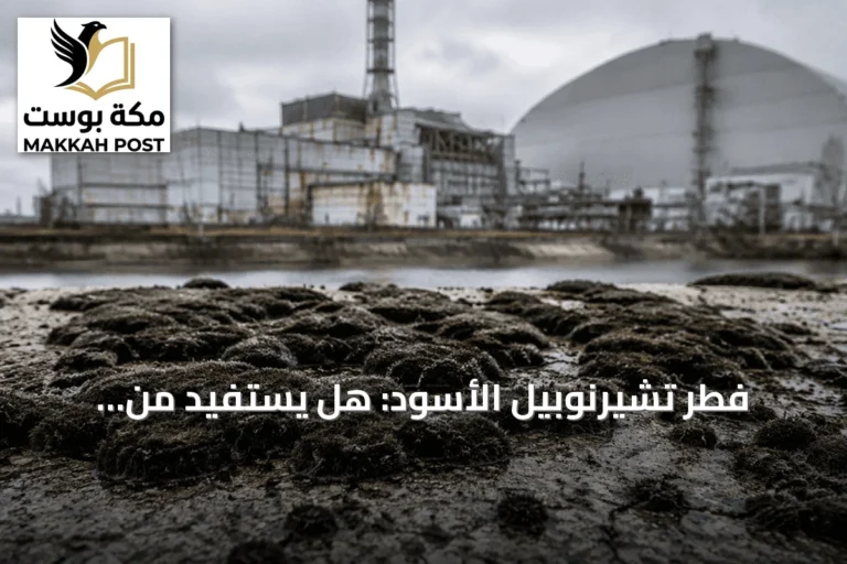 فطر تشيرنوبيل الأسود: هل يستفيد من الإشعاع؟