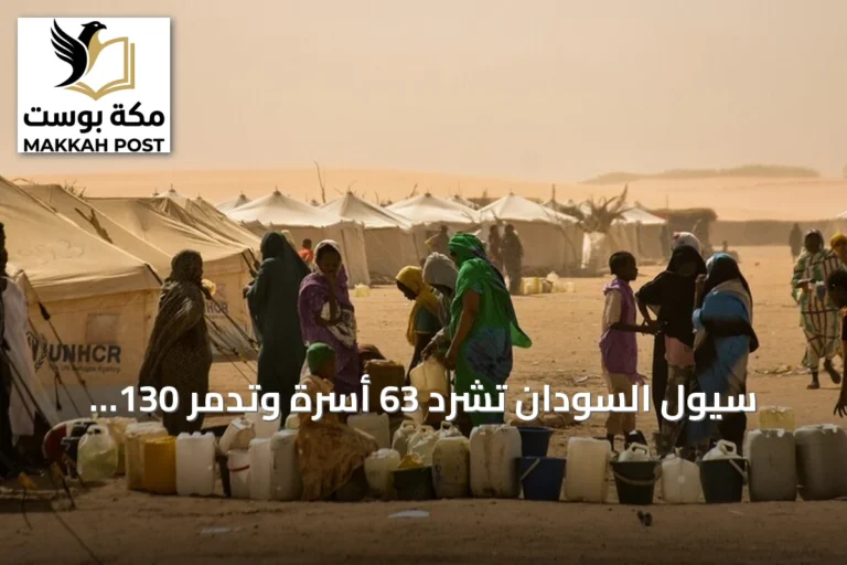 سيول السودان تشرد 63 أسرة وتدمر 130 منزلاً في جنوب كردفان وشمال دارفور
