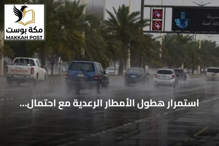 استمرار هطول الأمطار الرعدية مع احتمال تشكل الضباب في مناطق جنوب السعودية