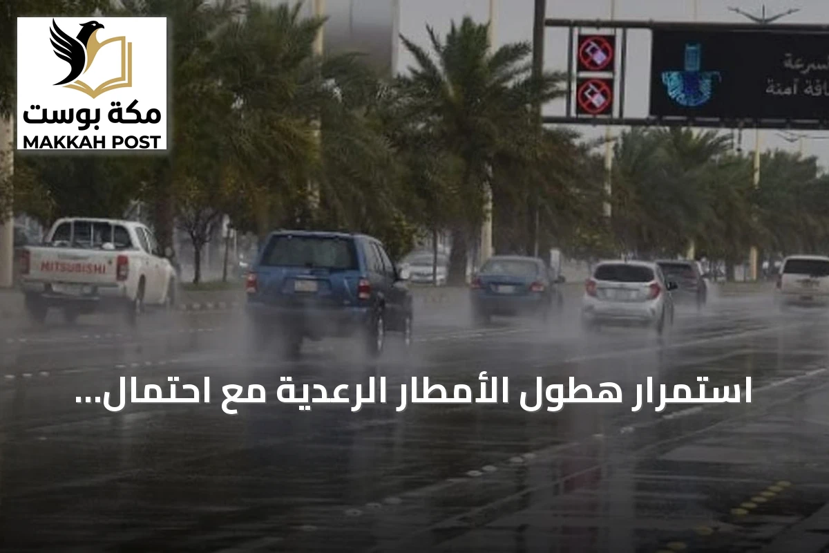 استمرار هطول الأمطار الرعدية مع احتمال تشكل الضباب في مناطق جنوب السعودية