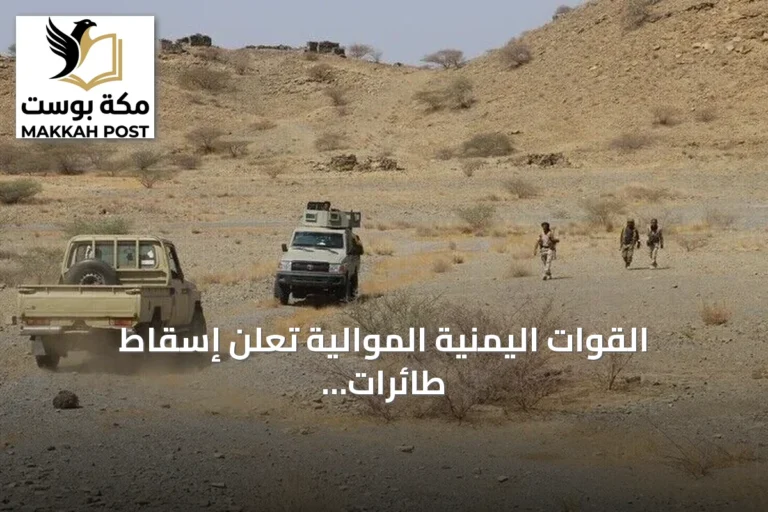 القوات اليمنية الموالية تعلن إسقاط طائرات مسيرة حوثية غرب عدن