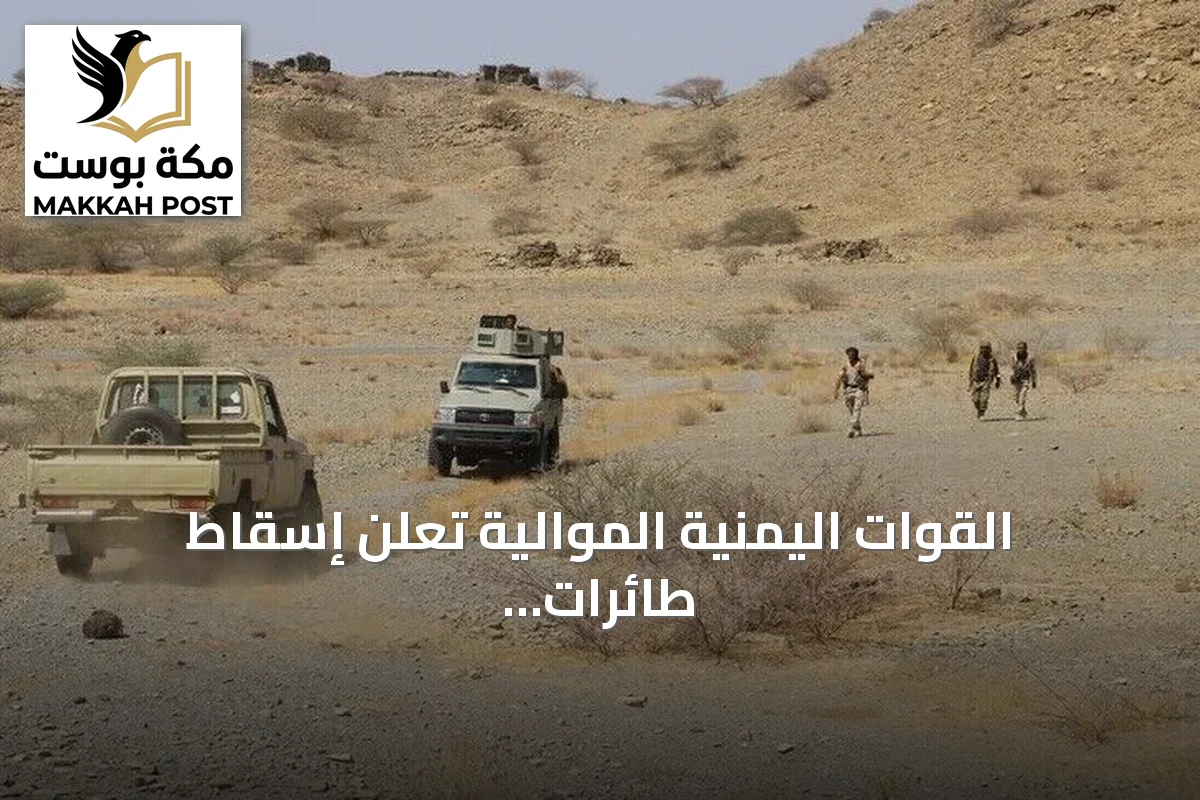 القوات اليمنية الموالية تعلن إسقاط طائرات مسيرة حوثية غرب عدن
