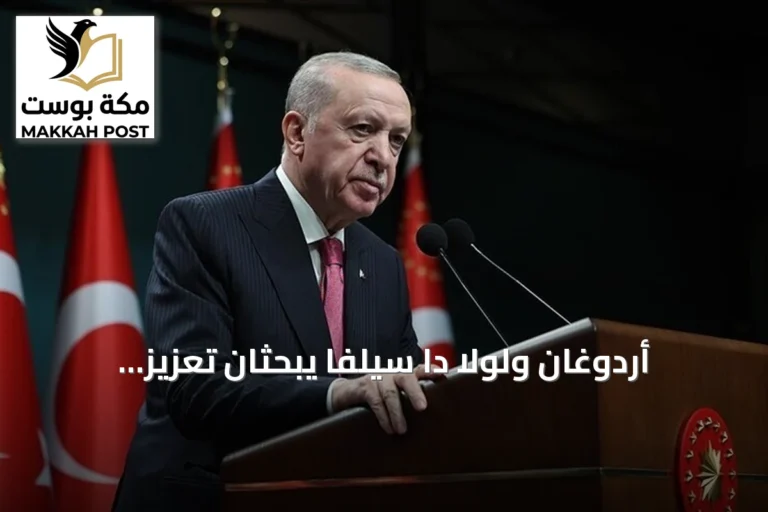 أردوغان ولولا دا سيلفا يبحثان تعزيز التعاون التركي البرازيلي عبر مكالمة هاتفية