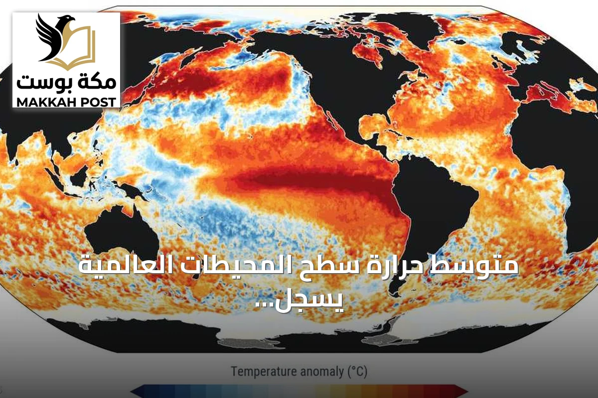 متوسط حرارة سطح المحيطات العالمية يسجل مستوى قياسياً يومياً غير مسبوق