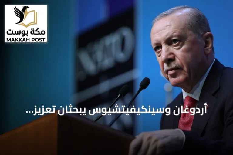 أردوغان وسينكيفيتشيوس يبحثان تعزيز التعاون الثنائي والقضايا الإقليمية