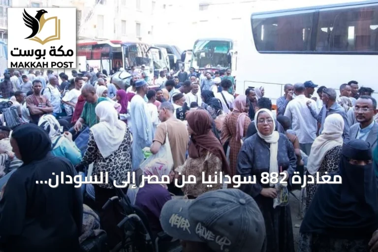 مغادرة 882 سودانيًا من مصر إلى السودان ضمن إطار العودة الطوعية