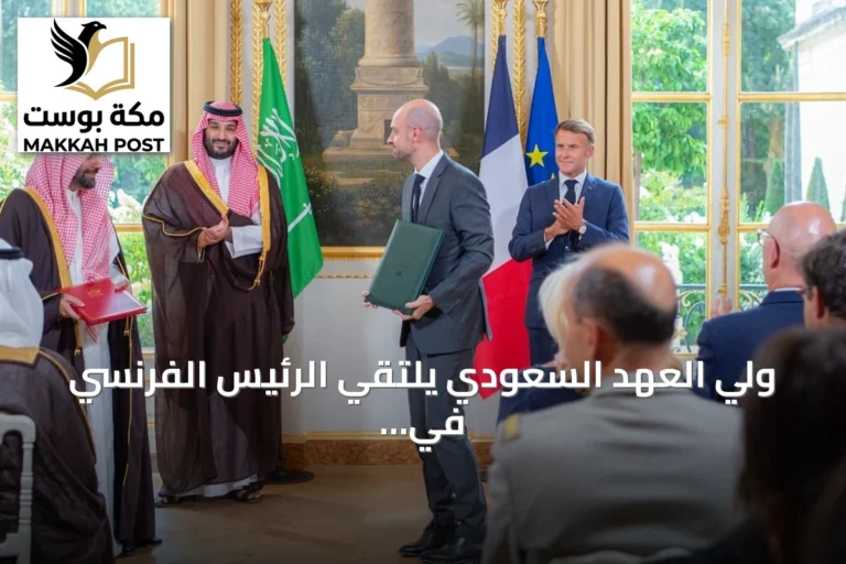 ولي العهد السعودي يلتقي الرئيس الفرنسي في باريس ويترأسان أول اجتماع لمجلس الشراكة الاستراتيجي