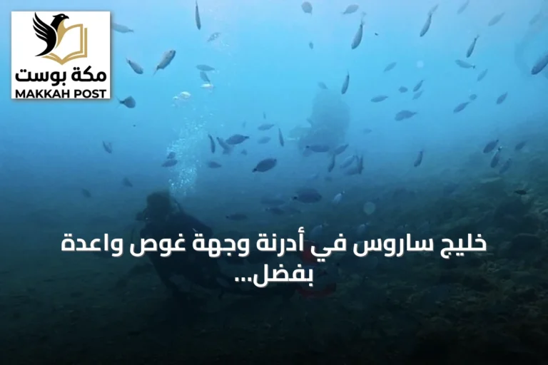 خليج ساروس في أدرنة وجهة غوص واعدة بفضل الشعاب الاصطناعية وصفاء المياه