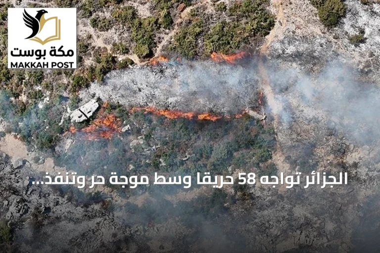 الجزائر تواجه 58 حريقًا وسط موجة حر وتنفذ إجلاءات وقائية