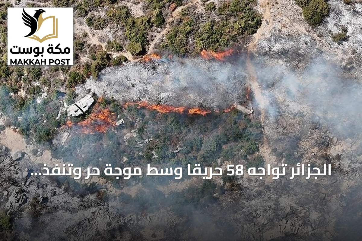 الجزائر تواجه 58 حريقًا وسط موجة حر وتنفذ إجلاءات وقائية