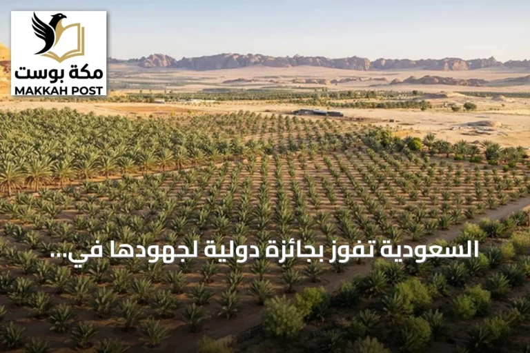 السعودية تفوز بجائزة دولية لجهودها في زراعة 159 مليون شجرة