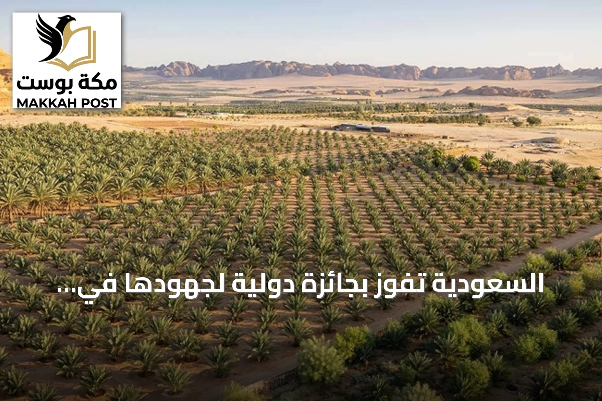 السعودية تفوز بجائزة دولية لجهودها في زراعة 159 مليون شجرة