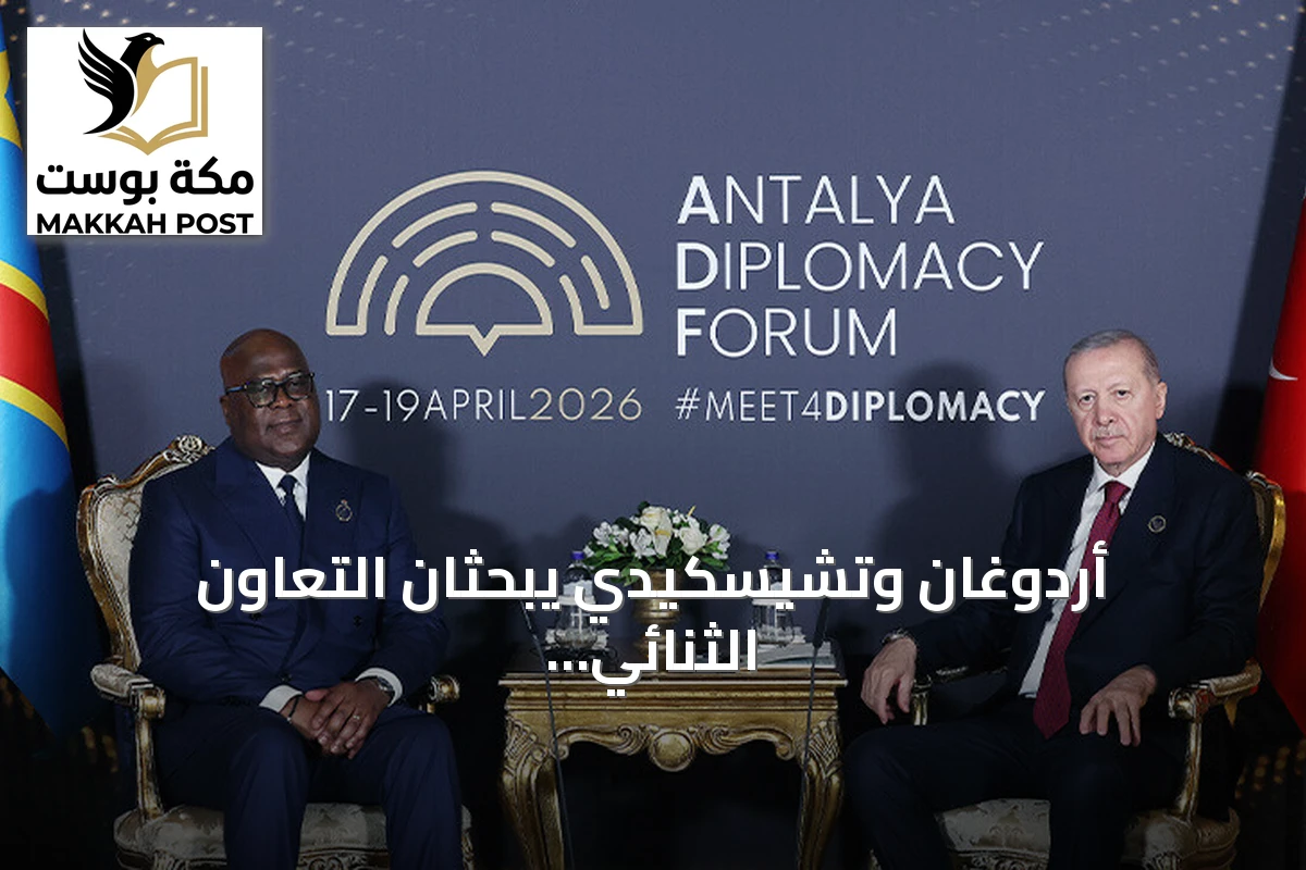 أردوغان وتشيسكيدي يبحثان التعاون الثنائي والقضايا الإقليمية