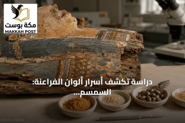 دراسة تكشف أسرار ألوان الفراعنة: السمسم والمورينغا في الوصفات