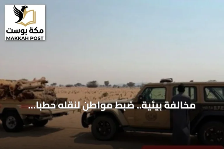 مخالفة بيئية.. ضبط مواطن لنقله حطباً محلياً في المدينة المنورة