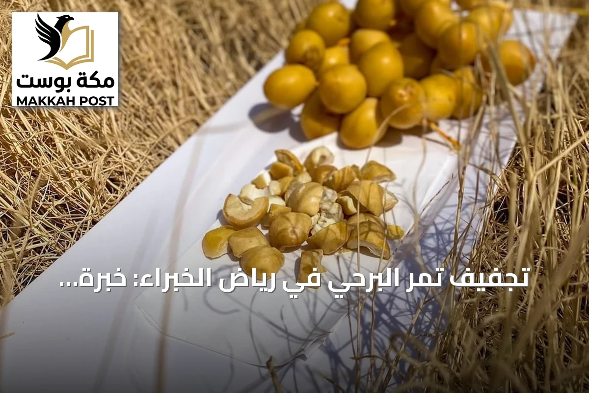 تجفيف تمر البرحي في رياض الخبراء: خبرة متوارثة لحفظ المحصول ودعم الاستدامة