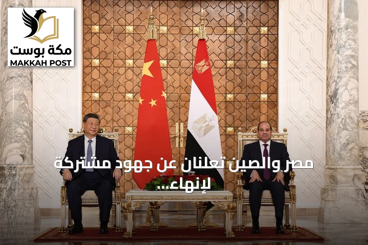 مصر والصين تعلنان عن جهود مشتركة لإنهاء الحرب في السودان وتثبيت الهدنة بغزة