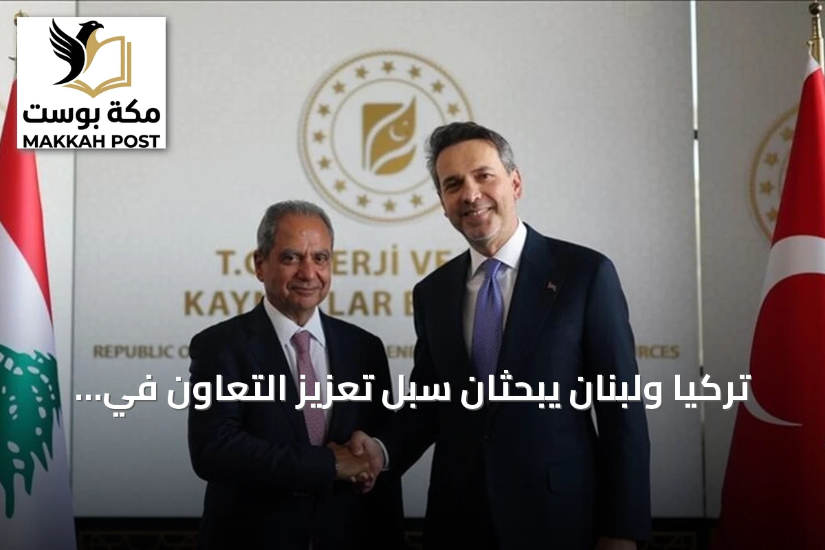 تركيا ولبنان يبحثان سبل تعزيز التعاون في مجال الطاقة