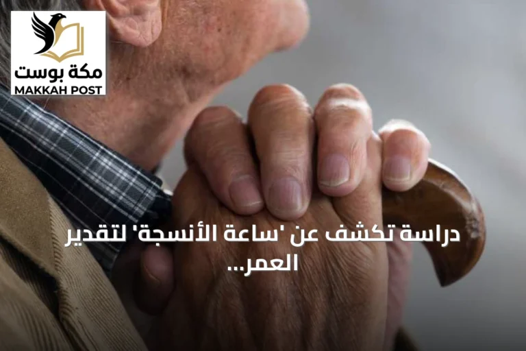 دراسة تكشف عن 'ساعة الأنسجة' لتقدير العمر البيولوجي للأعضاء عبر الذكاء الاصطناعي
