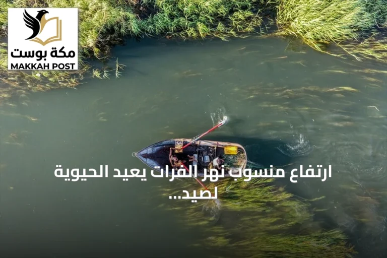 ارتفاع منسوب نهر الفرات يعيد الحيوية لصيد الأسواق السمكية في الرقة