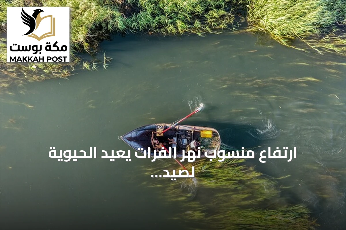 ارتفاع منسوب نهر الفرات يعيد الحيوية لصيد الأسواق السمكية في الرقة
