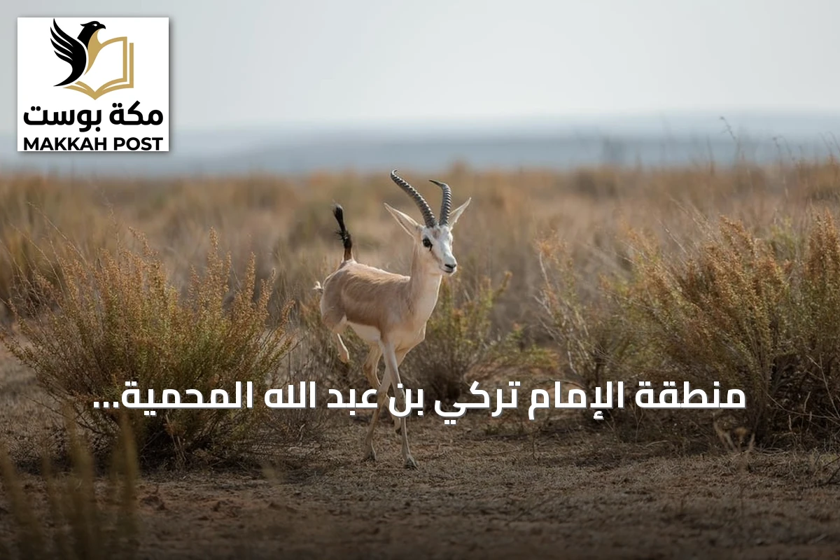 منطقة الإمام تركي بن عبد الله المحمية: تنوع بيئي واسع في شمال شرق السعودية