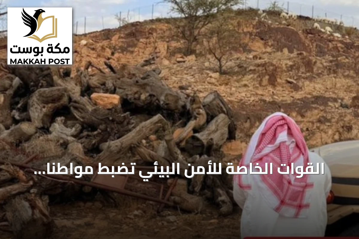 القوات الخاصة للأمن البيئي تضبط مواطنًا بحوزته خمسة أمتار مكعبة من الحطب المحلي في عسير