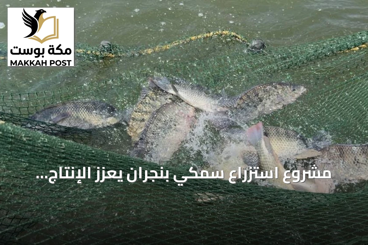 مشروع استزراع سمكي بنجران يعزز الإنتاج المحلي ويهدف لدعم الأمن الغذائي