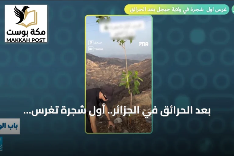 بعد الحرائق في الجزائر.. أول شجرة تُغرس في جيجل