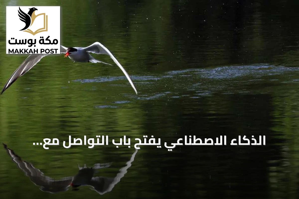 الذكاء الاصطناعي يفتح باب التواصل مع الحيوانات.. تحذيرات من استغلال التسجيلات