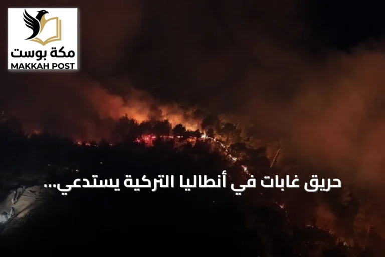حريق غابات في أنطاليا التركية يستدعي تحركاً جوياً وبرياً لإخماده