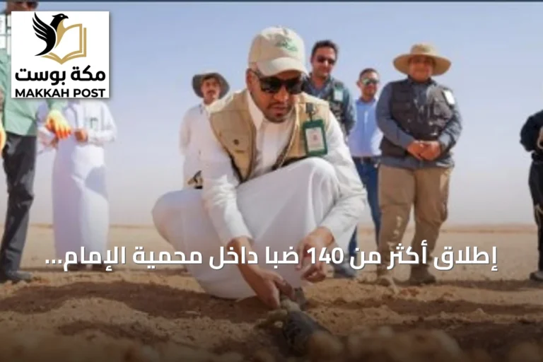 إطلاق أكثر من 140 ضبًّا داخل محمية الإمام عبدالعزيز بن محمد