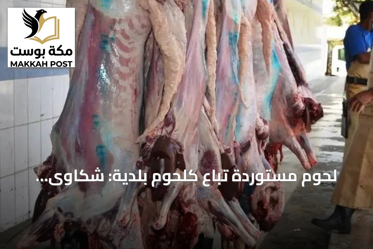 لحوم مستوردة تُباع كلحوم بلدية: شكاوى، فروقات سعرية ودعوات لتشديد الرقابة