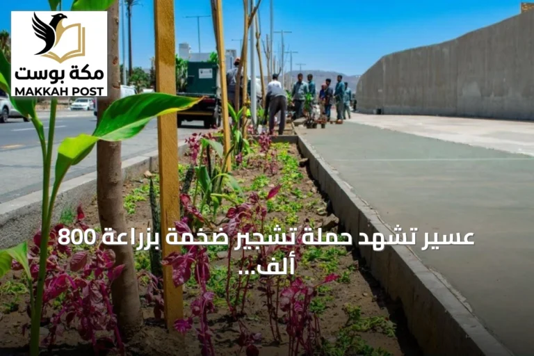 عسير تشهد حملة تشجير ضخمة بزراعة 800 ألف وردة و600 ألف شجرة