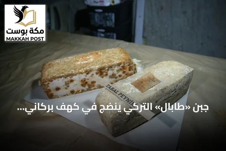 جبن «طابال» التركي ينضج في كهف بركاني بعمق 14 متراً