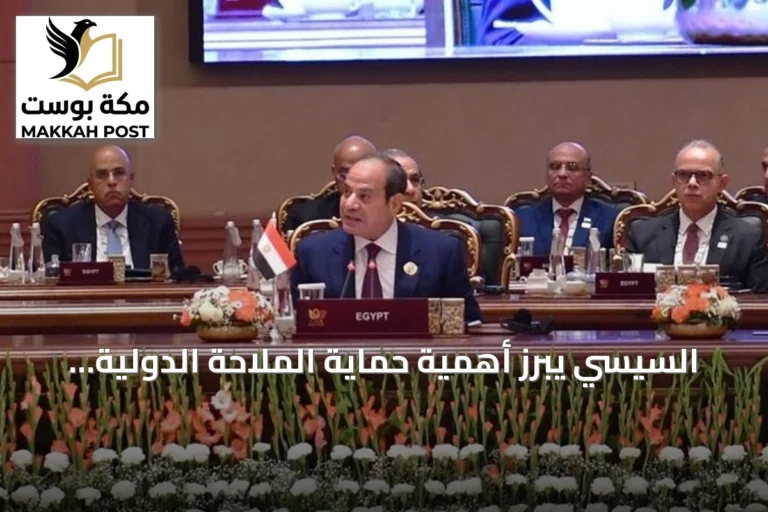السيسي يبرز أهمية حماية الملاحة الدولية ويعزز دور البريكس في تحقيق الاستقرار الإقليمي