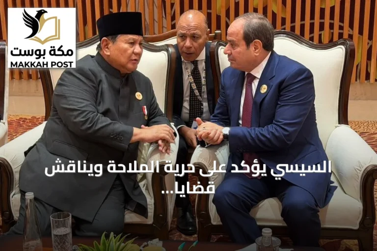 السيسي يؤكد على حرية الملاحة ويناقش قضايا السودان وفلسطين على هامش قمة بريكس